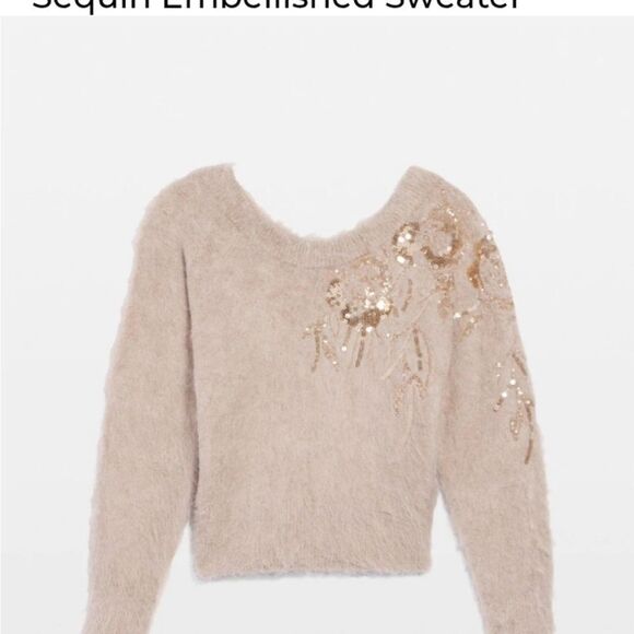 WHBM Sequin Embellished Tan Boat Neck Sweater style 570380544. Size XS NWT - Picture 3 of 5